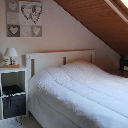Duplex Cocooning Avec Vue Lac Et Montagnes Savines Luaran gambar